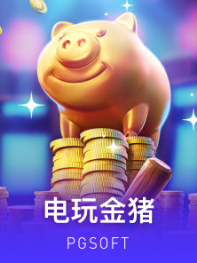 电玩金猪